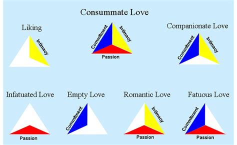 Theory Of Triangular Love By Robert Sternberg The 3 Points Or Sections