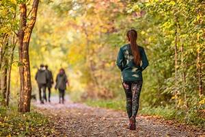 The, Mental, Health, Benefits, Of, Walks, In, Nature