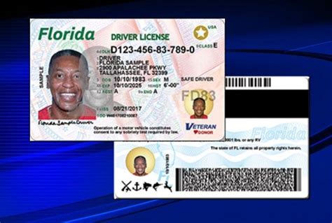 Free Florida Drivers License Template Softrewa