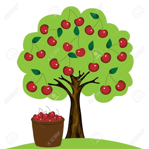 Cherry Trees Clipart 20 Free Cliparts Download Images On Clipground 2019