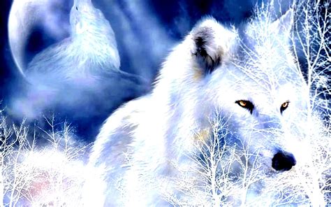Winter Snow Landscape Nature Wolf Wolves Wallpapers Hd Desktop