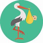 Stork Icon Newborn Bird Animals Icons Pregnancy