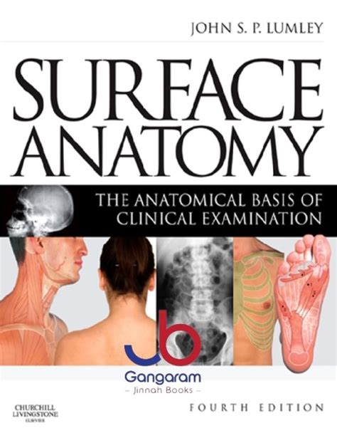 Surface Anatomy The Anatomical Basis Of Clinical Examination 4th