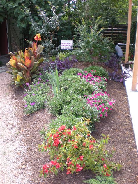 Central Texas Xeriscaping With Bill Rose From Blissful Gardens