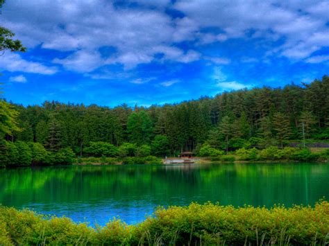 Wallpaper Forest Green Lake Blue Sky Clouds 2560x1600 Hd Picture Image