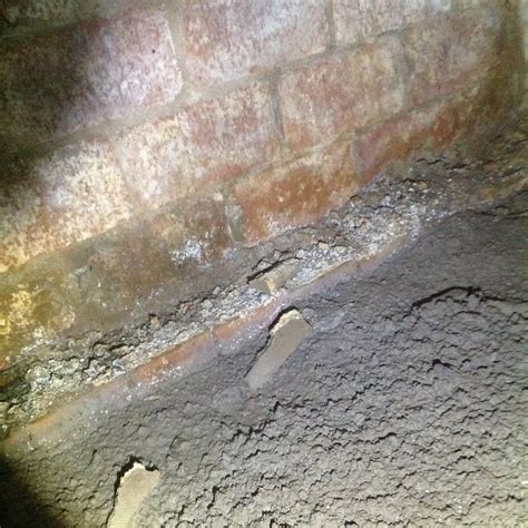 What Is Rising Damp Casey Building Inspections