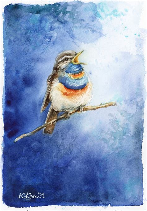 Bluethroat Watercolor Of Birds And Wildlife Watercolour By Karolina