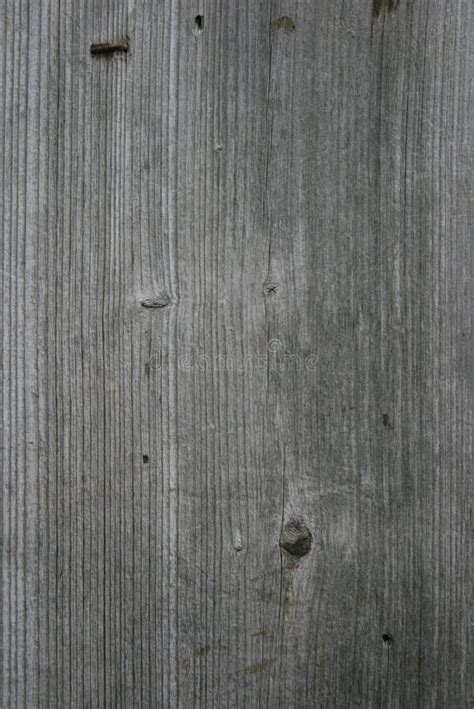 Grey Wood Texture Stock Photo Image Of Industry Macro 3736804