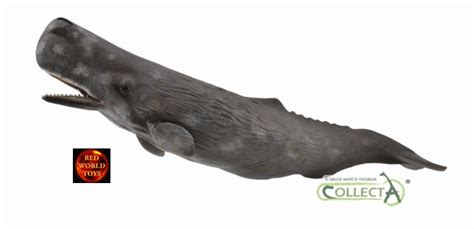 Sperm Whale Sealife Toy Model Figure By Collecta 88835 Brand New Ebay