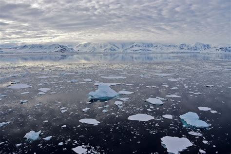 explained how antarctica set temperature record amid heat wave in europe arctic