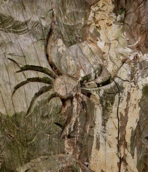 Spider Carved In Wood By Metalheart1987 On Deviantart