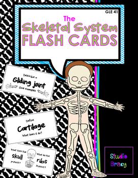 Skeletal System Flash Cards By Studio Bracy Tpt