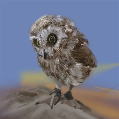 Wallpaper Owl Digital Art Fan Art Digital Painting Realistic