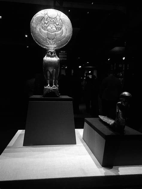 MetaX Studios - 사진