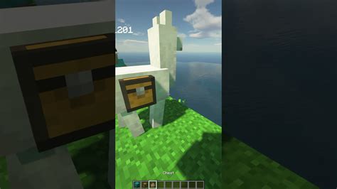 Minecraft Glitches That Will Blow Your Mind Mindovermetal English