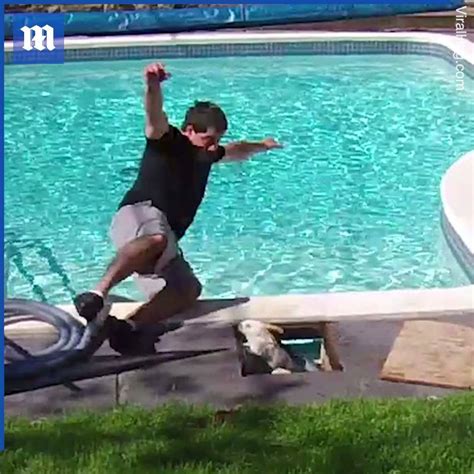 Man Scared By Bunny Falls Into The Pool He Wasnt Expecting That To Happen 🐰😂 Via Viralhog