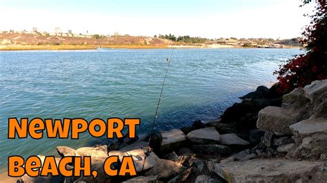 How Neat Is Fishing Upper Newport Bay D In Newport Beach Ca Youtube