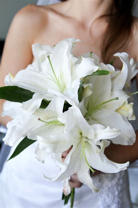 Casablanca Lillies Are So Beautiful Take A Look At Our Board And See