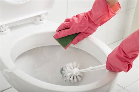 Easy And Fast Ways To Clean A Toilet The Portland Loo