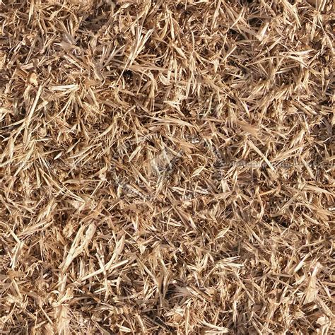 Dry Grass Texture Seamless 12918