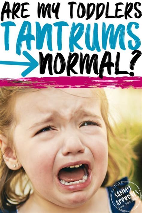 Toddler Tantrums When To Worry Are My Toddlers Tantrums