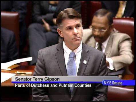 senator gipson explains his vote on nysafe act youtube