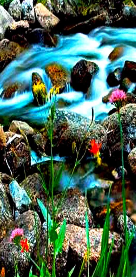 Beautiful Nature Wallpaper By Dashti33 Download On Zedge 89f4