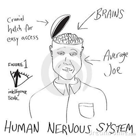 Brain Jack Image Brain Cartoon