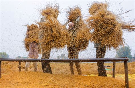 Pm kisan samman nidhi yojana के आवेदन स्थिति जानने के लिए : पीएम किसान योजना: 5.16 करोड़ किसानों को अभी तक नहीं मिली ...