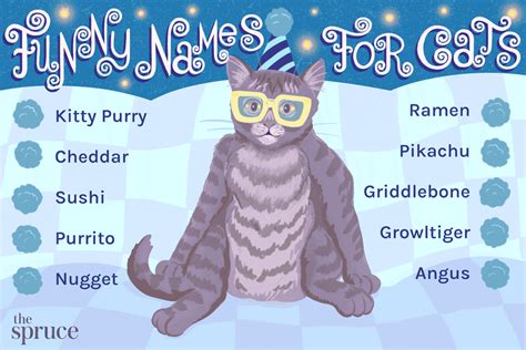 76 Funny Names For Cats