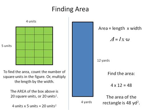 There should only be one business visionary (rather than a group of visionaries) and one. Perimeter and Area - Geometry