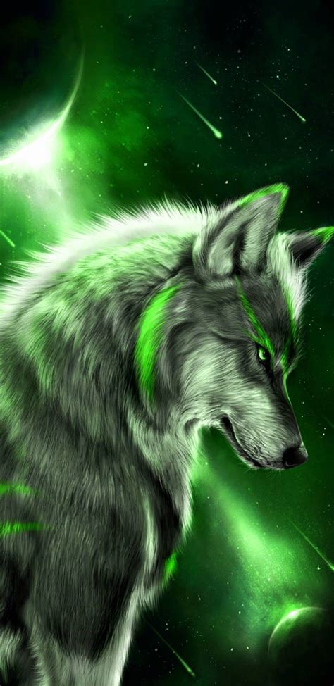 Timberwolf * canis lupus lycaon * im schnee wunderbare erde. Handy Tier Coole Hintergrundbilder