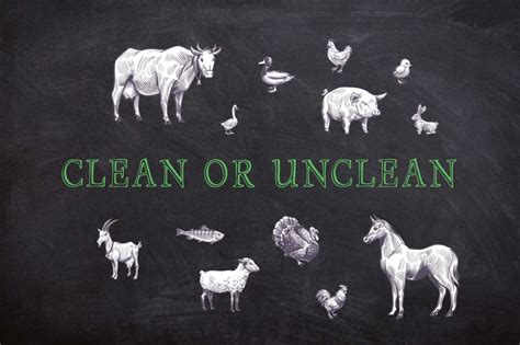 What Is The Difference Between Clean And Unclean Animals In The Bible