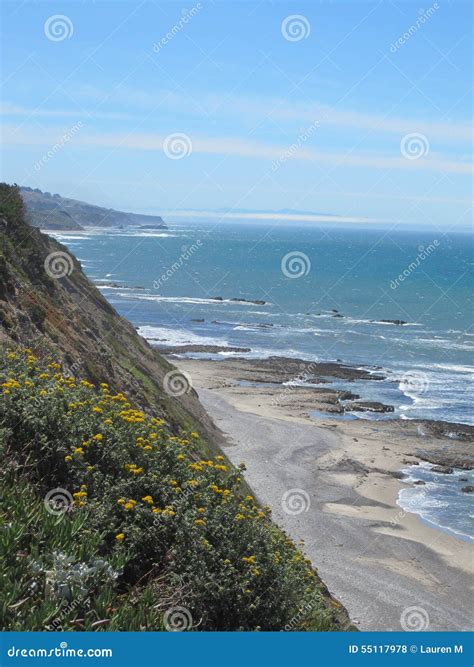 Pacific Shoreline At Stinson Beach California Stock Photo Image Of