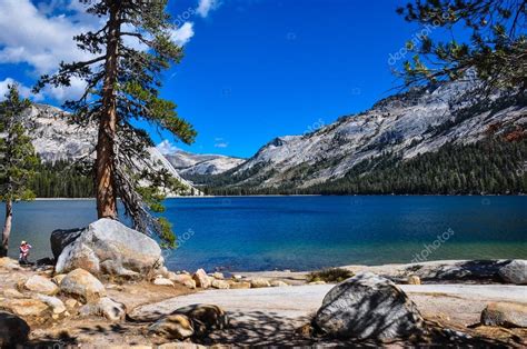 Gorgeous Yosemite National Park California Usa — Stock Photo