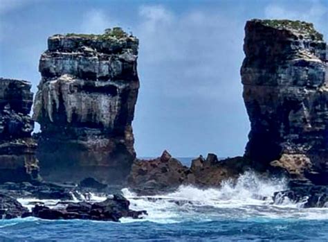 Darwin's arch is a natural rock arch feature situated to the southeast of darwin island in the pacific ocean. Famed Darwin's Arch in Galapagos Islands collapses from ...
