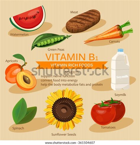 Infographic Set Vitamin B Useful Products Stock Vector Royalty Free