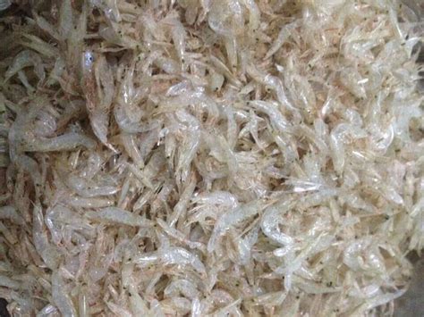 Baby brine shrimp cultures can be kept alive for extended periods up to approximately two weeks or so by placing in the refrigerator. Dried Baby Shrimp/ Baby Krill - Cheap Baby Shrimp - Buy ...