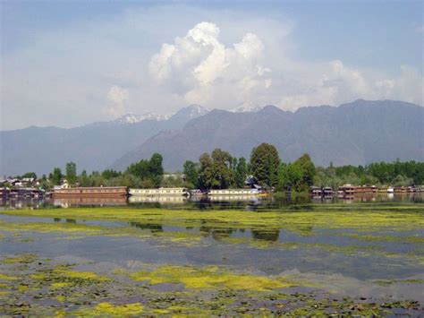 Srinagar Kashmir Beautiful Srinagar Kashmir Amarnath Yatra Kashmir 73