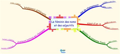 Carte Mentale Le Féminin Des Noms Et Des Adjectifs Maître Lucas