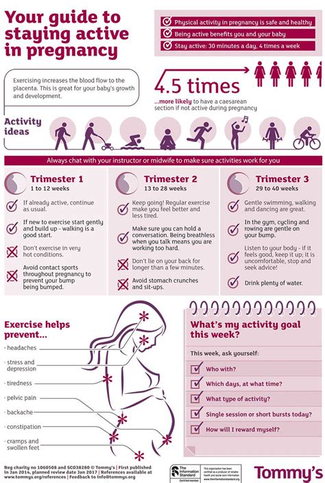 Guide To Staying Active In Pregnancy Infographic I M Not Pregnant But This Could Be Good One