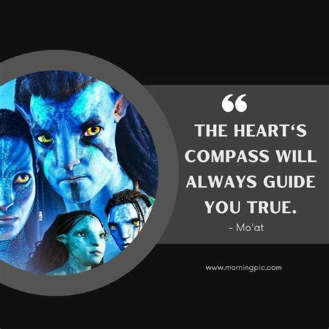 200 Avatar Quotes On Love Spirituality And Self Discovery