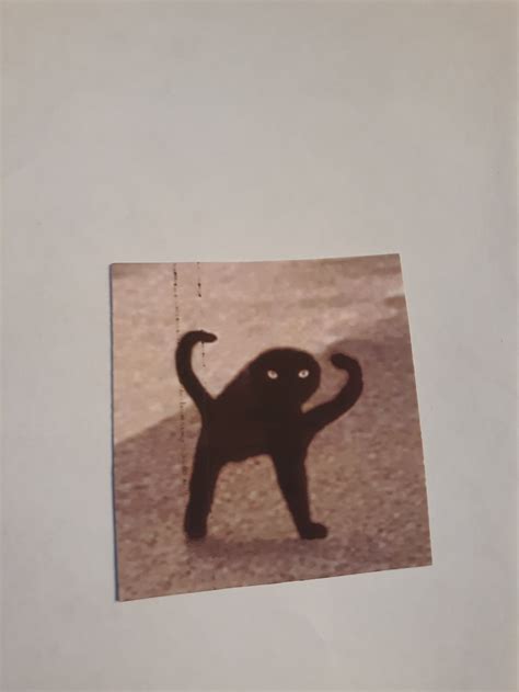 Cursed Black Cat Meme Sticker Etsy