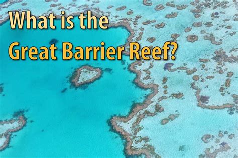 Facts About Great Barrier Reef