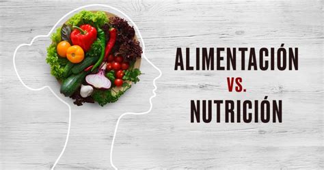 Diferencia Entre Alimentación Y Nutrición Diferenciando