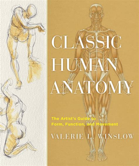 Classic Human Anatomy By Valerie L Winslow Penguin Books New Zealand
