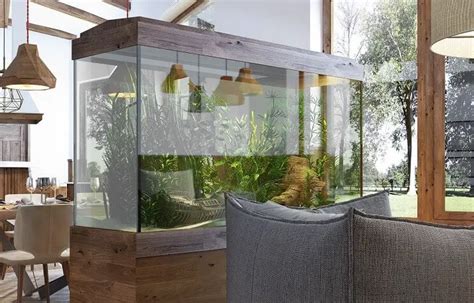 40 Gallon Aquarium Guide Best Fish Setup Ideas And More