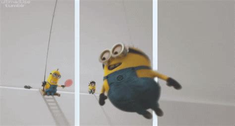 Despicable Me  Find And Share On Giphy