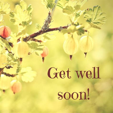 895 Best Get Well Quotes Images On Pinterest Healing Prayer Get Well And Get Well Ecards