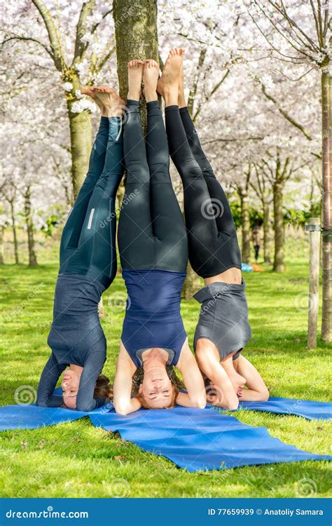 Supported Headstand Pose Stock Image Image Of Girl Female 77659939